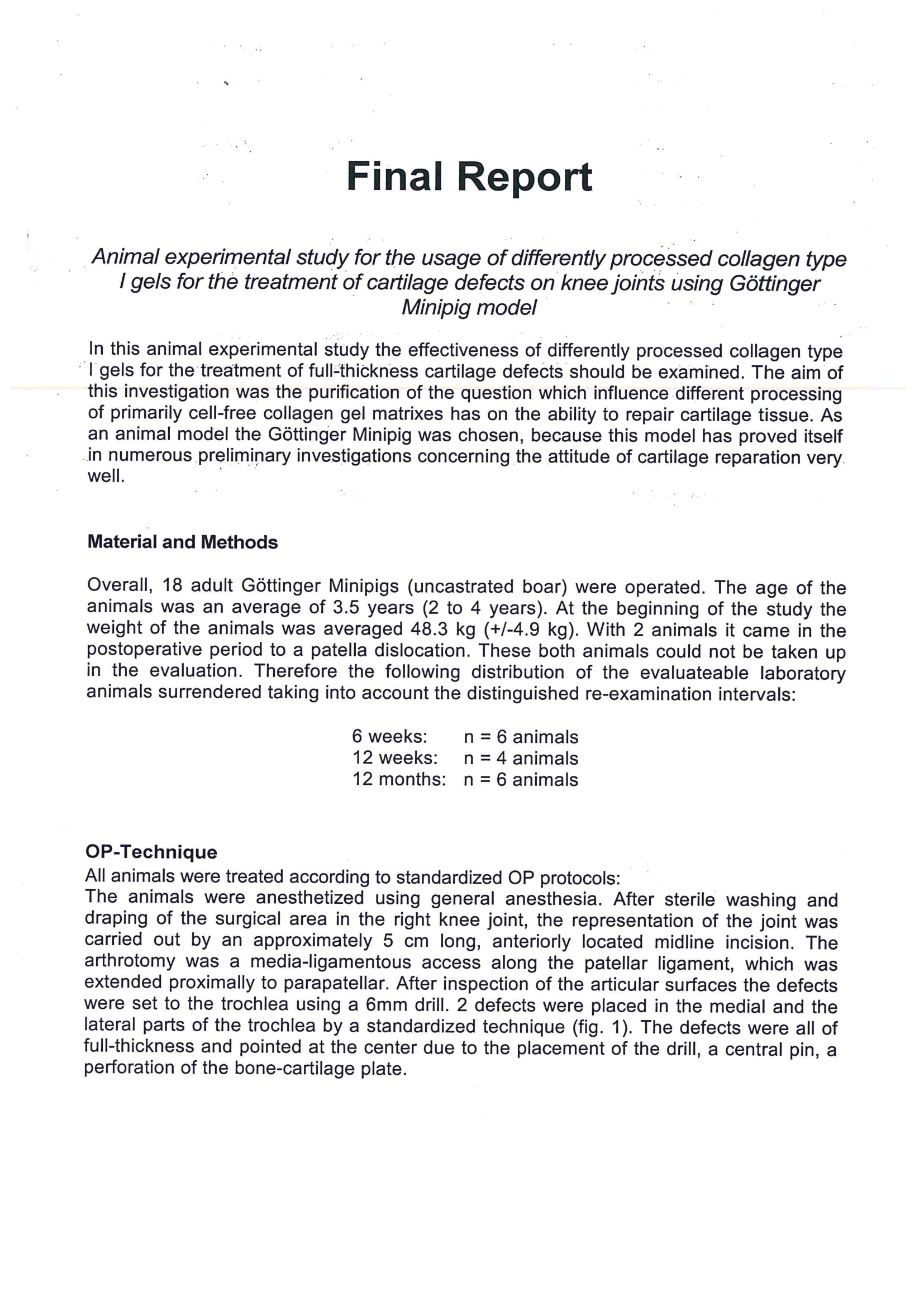 Animal study on ChondroFiller®.